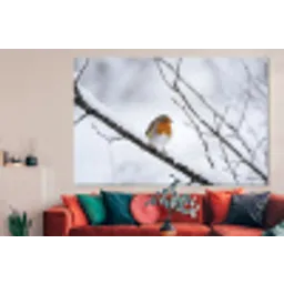 Roodborstje - Tak - Sneeuw - Winter - Levendig forex 5mm xxl -woonkamer