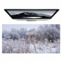 Schermbloem - Rijp - Kristallen - Winter - Delicaat Muismat XXL klein -zzz3d