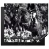 Springen - Paard - Zwart - Wit Inductie beschermer vinyl 3mm middel -3d