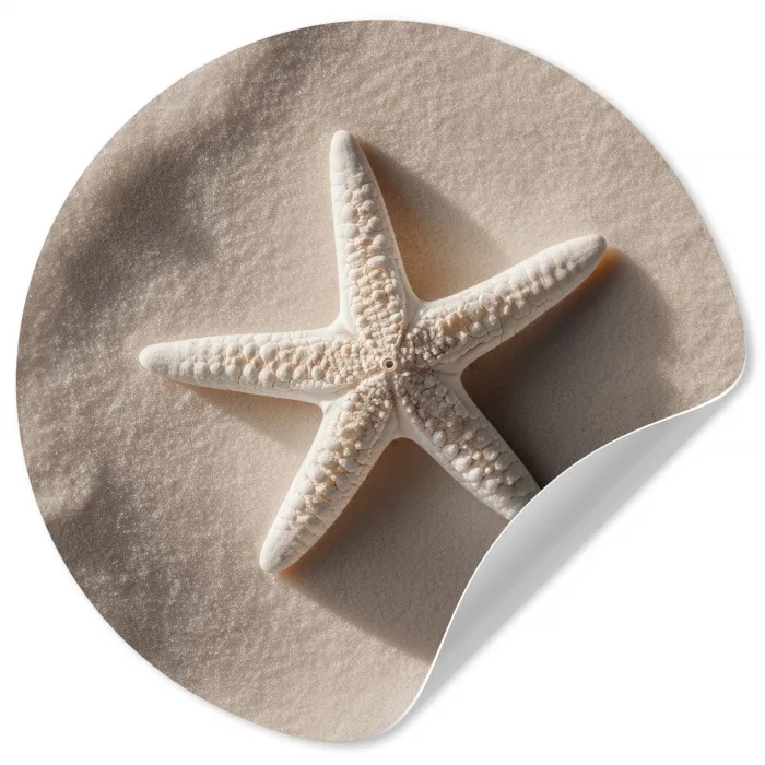 Strand - Zeester - Zand - Beige Wandcirkel behangsticker klein -3d