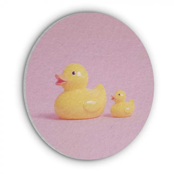 Eendjes - Vrolijk - Roze Akoestische PET Vilt - Rond klein -3d