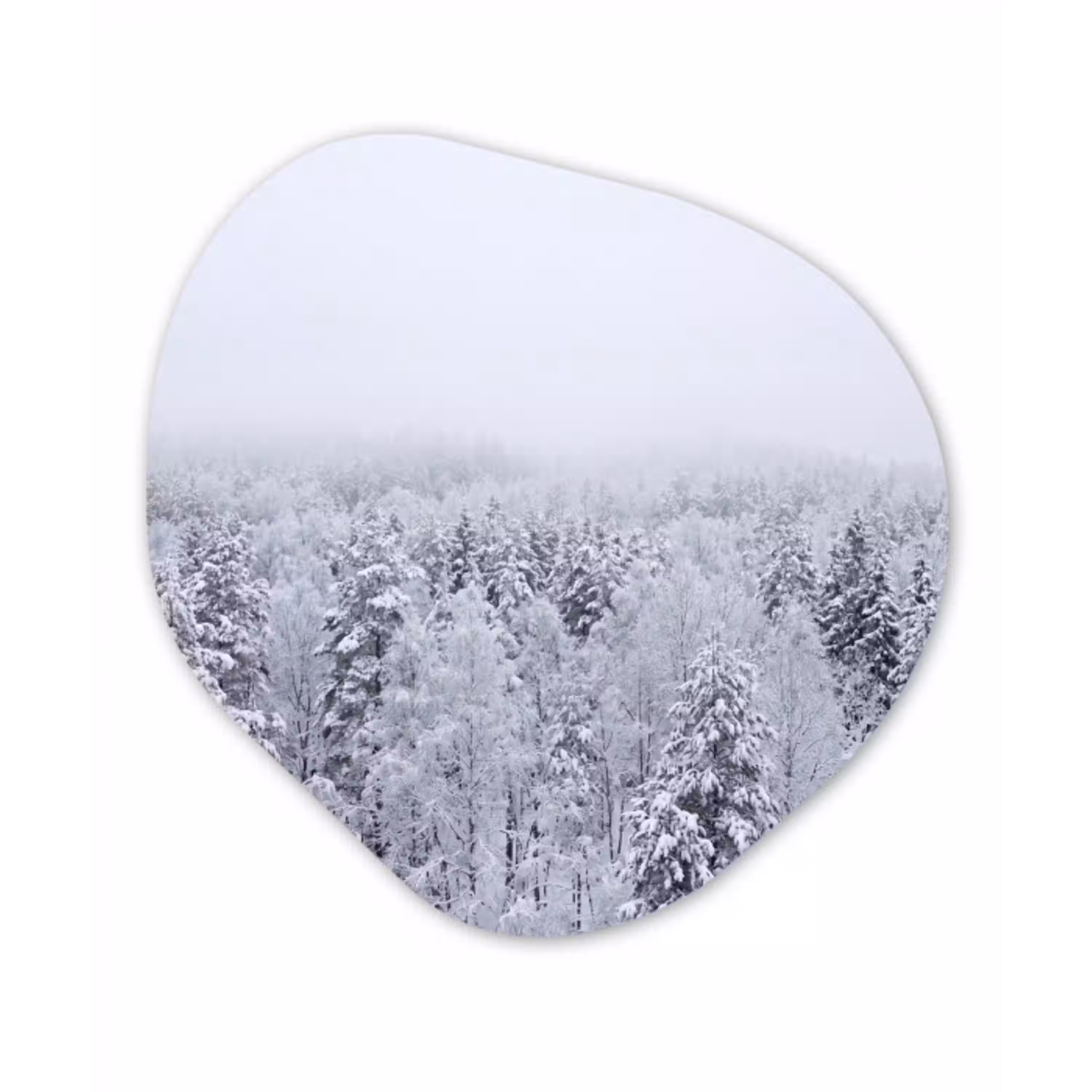 Bos - Sneeuw - Winter - Natuur - Wit Wandcirkel Organisch Aluminium middel -3d