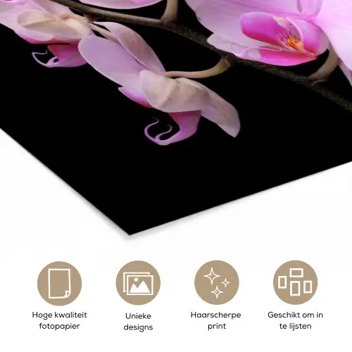 Orchidee - Bloemen - Roze - Flora poster papier klein -closeup_NL