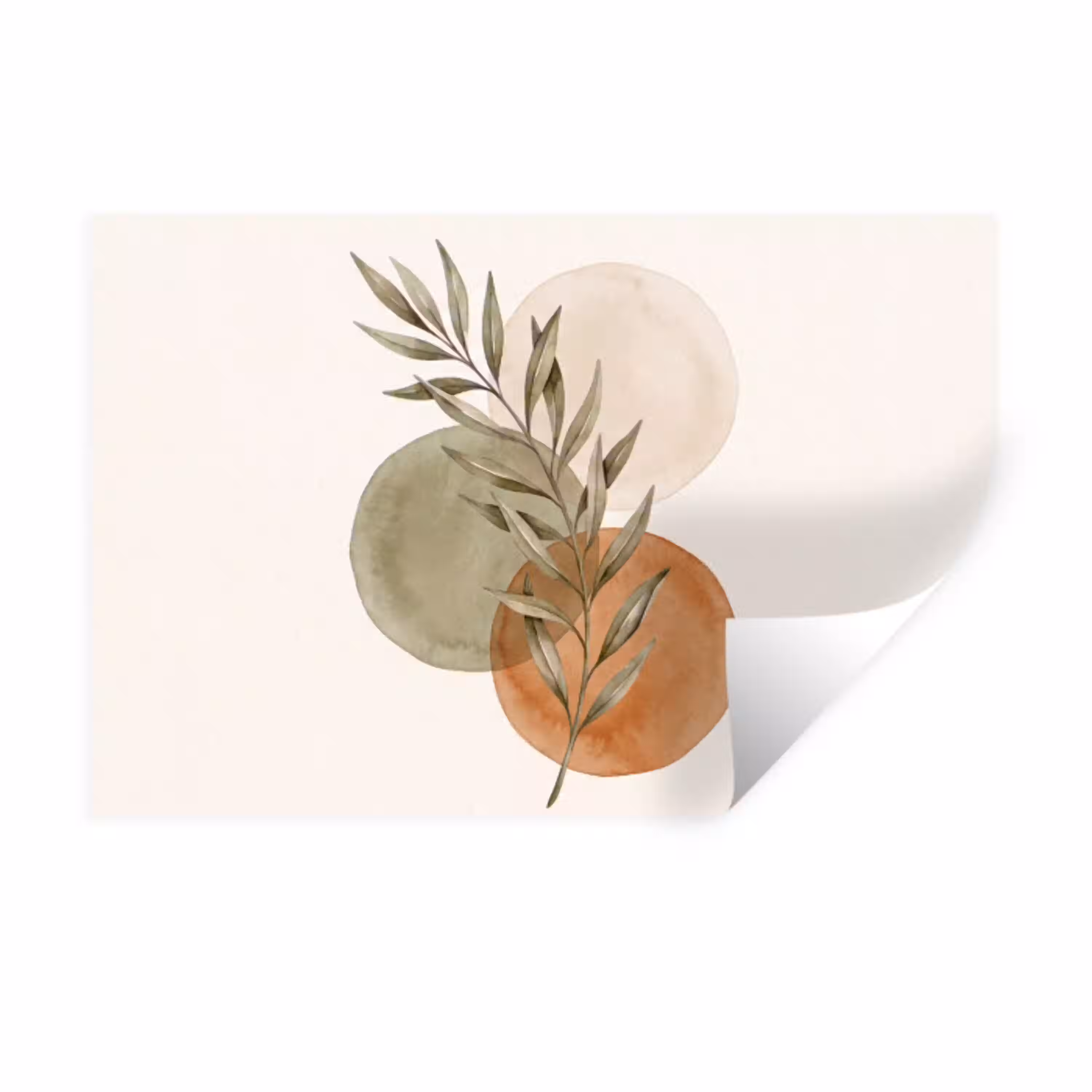 Plant - Cirkels - Abstract Muursticker klein -3d