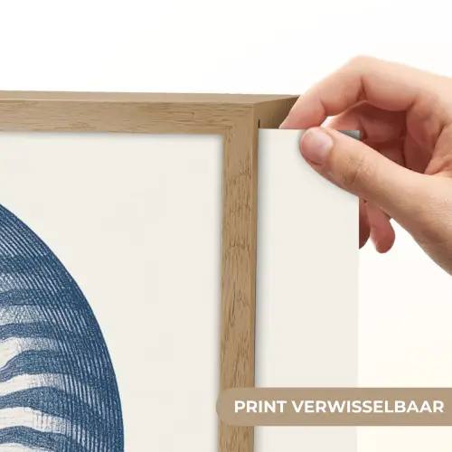 Blauw - Schelp - Spiraal Light Box met batterij (Wandlamp) middel -USP_websiteprintNL
