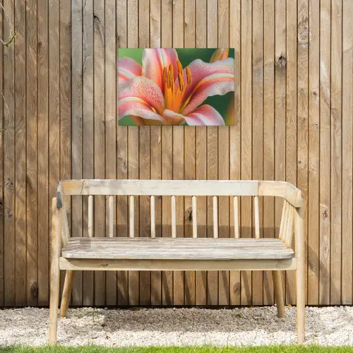 Lelie - Close up - Lichtroze Tuinposter op houten frame 2 cm dik klein -sfeer4