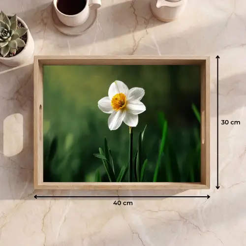 Narcis - Bloem - Wit - Grassprieten Dienblad Rechthoek middel -USP_Formaat