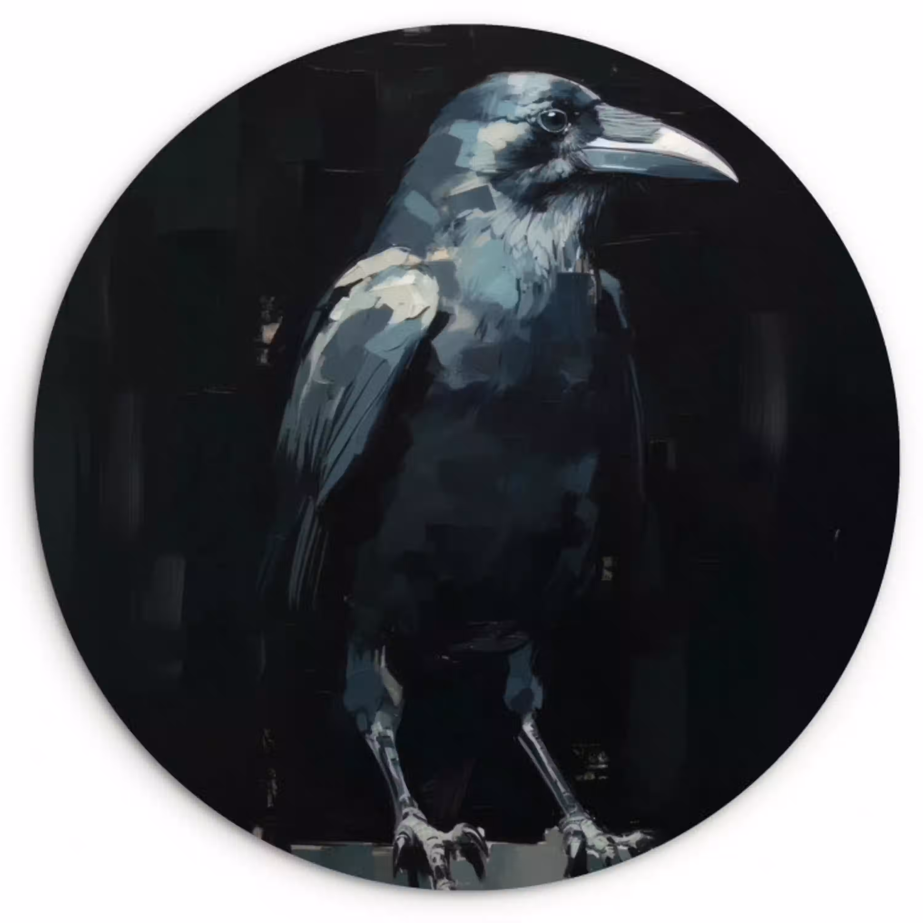 Raaf - Vogels - Zwart Wandcirkel plexiglas klein -3d
