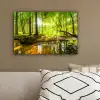 Bos - Landschap - Water - Bomen - Zon - Groen - Natuur canvas 2cm klein -sfeer3