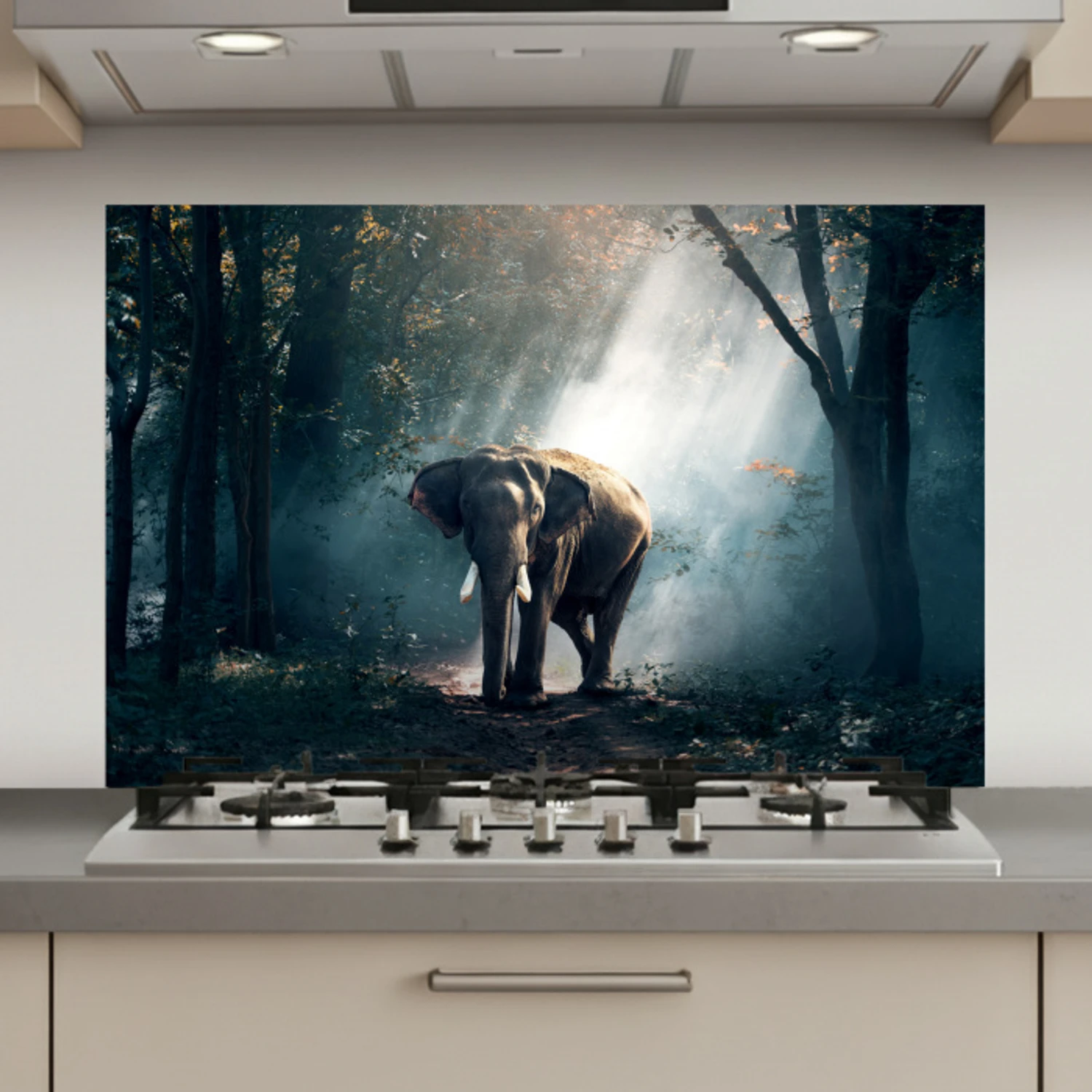 Olifant - Dieren - Licht - Bos - Natuur - Wilde dieren keuken achterwand spatscherm klein -3d_website