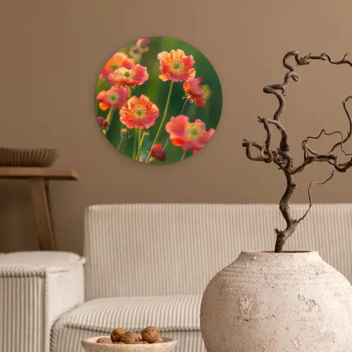 Bloemenveld - Zonnestralen - Oranje Wandcirkel kunststof plaat 5mm dik klein -sfeer1