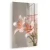 Lelies - Meeldraden - Roze - Wazig plexiglas 5mm klein -zzzproduct_nieuw