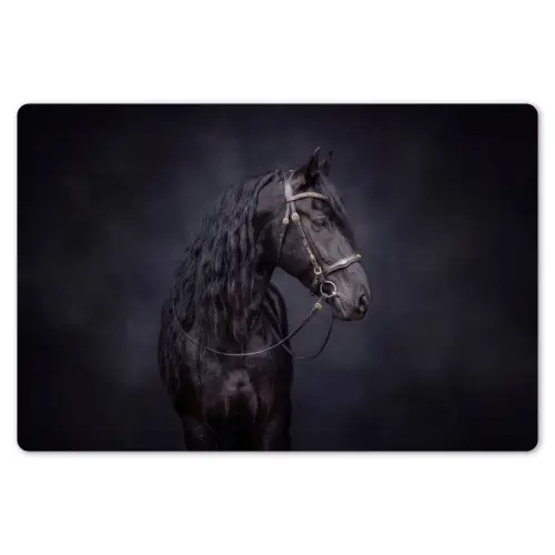 Portret - Paard - Donker Placemat vinyl groot -zzsfeer1_Kitchenyeah-website