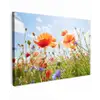 Bloemen - Klaproos - Lente - Natuur - Rood - Blauw Tuinposter op houten frame 2 cm dik klein -3d