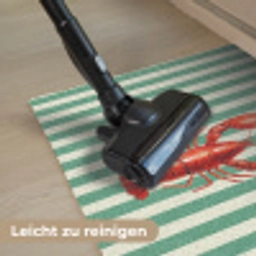 Kreeft - Strepen - Realistisch - Zomers Deurmat klein -reinigen_DE