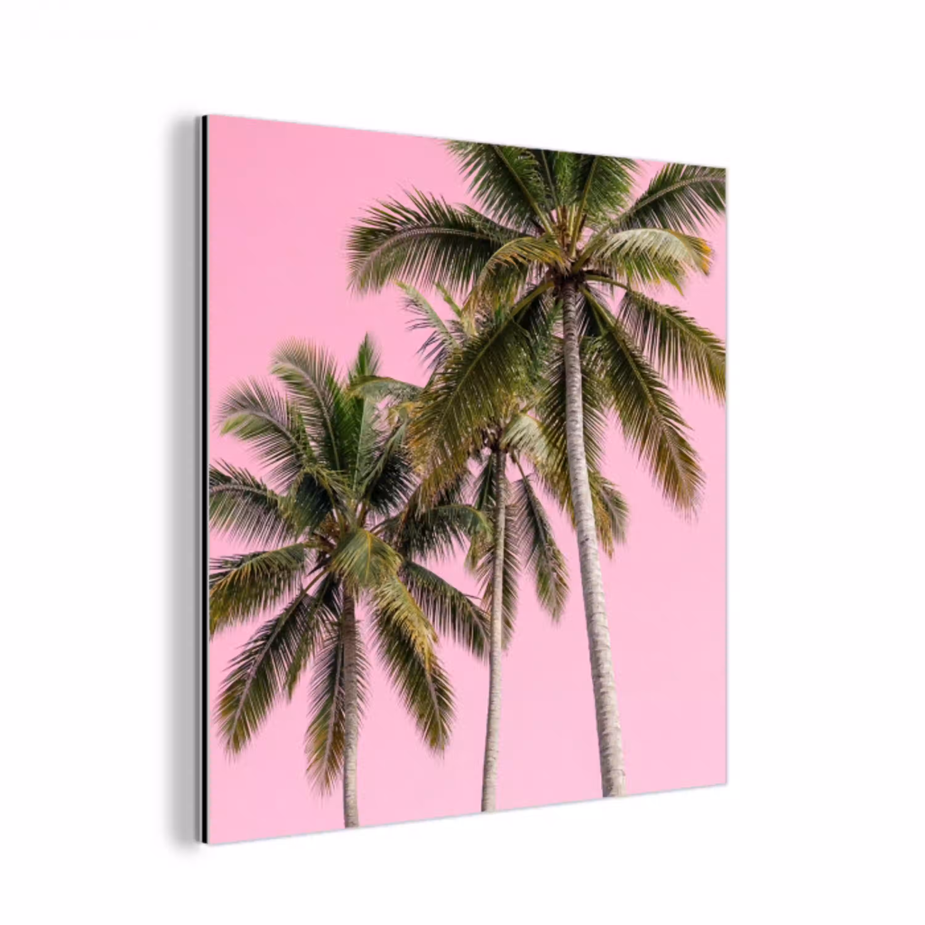 Palmboom - Tropisch - Pink aluminium wit klein -3d
