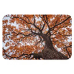 Boom - Bladerdak - Herfst - Oranje - Sfeervol Badmat klein -3d