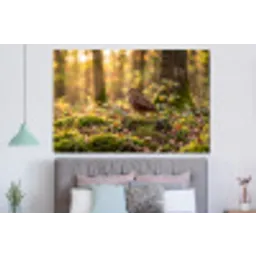 Houtsnip - Bos - Bladeren - Herfst - Gecamoufleerd forex 5mm xxl -slaapkamer