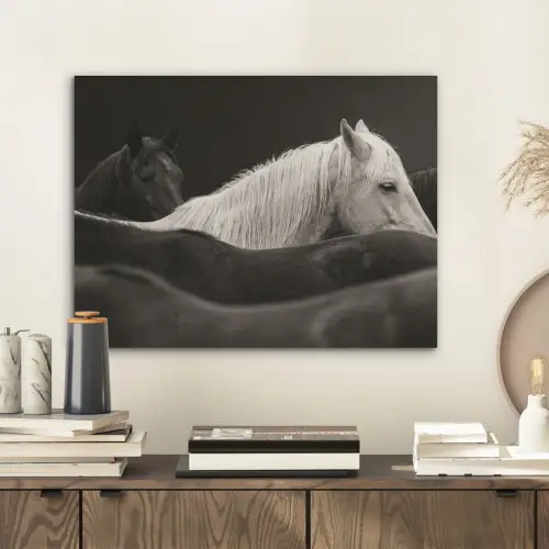 Paarden - Zwart - Wit - Kudde PET vilt klein -sfeer1