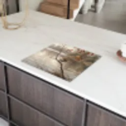 Winterkoninkje - Tak - Rivier - Natuur - Sfeervol Inductie beschermer vinyl 3mm middel -sfeer8