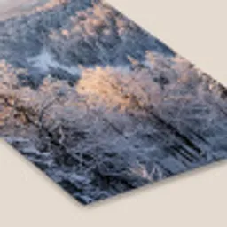 Bos - Bergen - Goud - Winter - Warm fotolijst zwart zonder passe partout klein -zsfeer6