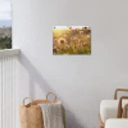 Verlichte zaadhoofden in de avondzon tuinposter los doek klein -sfeer8