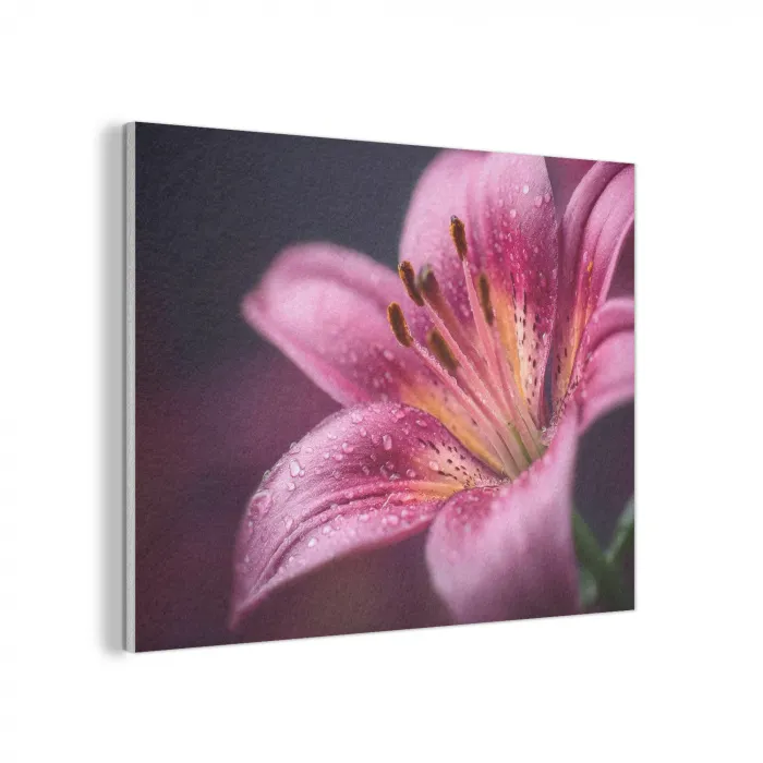 Roze - lelie - Dauwdruppels PET vilt klein -3d