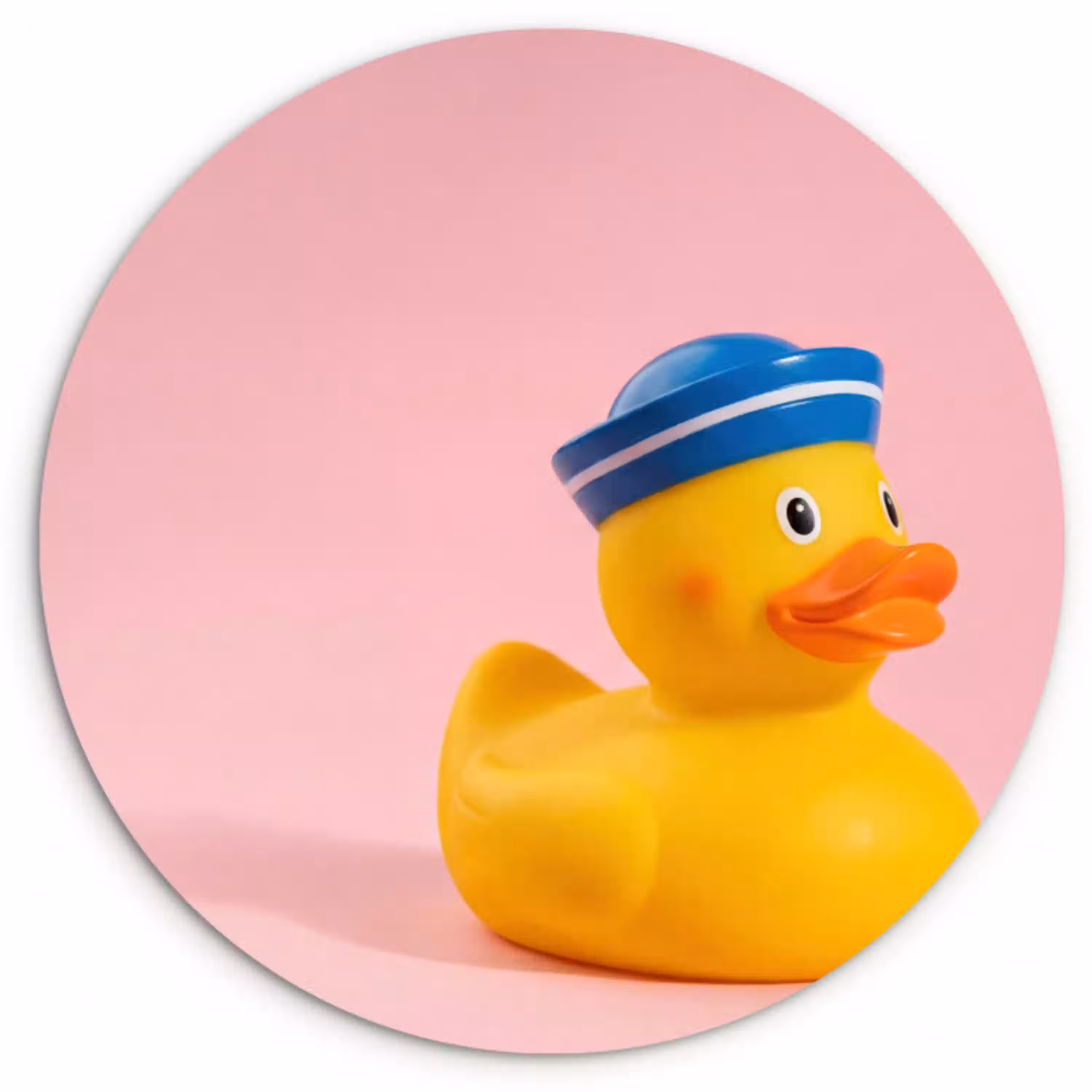 Matroos - Eend - Roze Wandcirkel kunststof plaat 5mm dik klein -3d