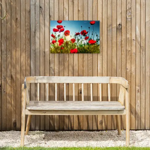 Klaprozen - Toscane - Zon - Rood - Blauw Tuinposter op houten frame 2 cm dik klein -sfeer4