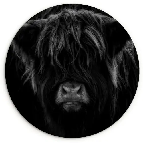 Schotse hooglander - Koe - Zwart - Wit - Dieren Wandcirkel kunststof plaat 5mm dik klein -3d