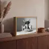 Chihuahua - Hond - Zonnebril - Humoristisch - Zwart - Wit - Spaghetti Light Box met batterij (Wandlamp) middel -sfeer2