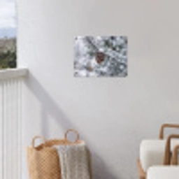 Dennenappel - Tak - Sneeuw - Winter - Sfeervol tuinposter los doek klein -sfeer8