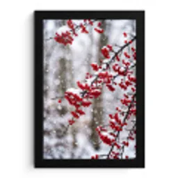 Bessen - Takken - Sneeuw - Winter - Kleurrijk fotolijst zwart zonder passe partout klein -3d