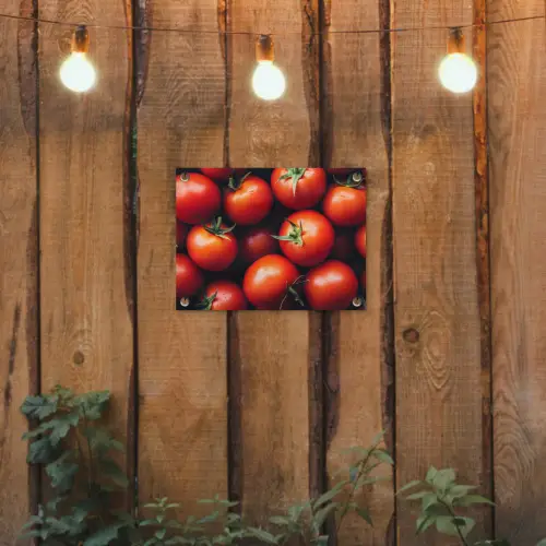 Groente - Rood - Tomaten tuinposter los doek klein -sfeer1