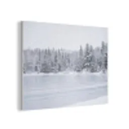 Meer - Dennen - IJs - Winter - Rustgevend PET vilt klein -3d
