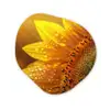 Zonnebloem - Dauwdruppels - Geel - Zonlicht Wandcirkel Organisch Forex 3mm klein -3d