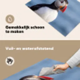 Papegaaiduiker - Portret - Natuur Inductie beschemer met haakjes klein -ky-schoon-nl