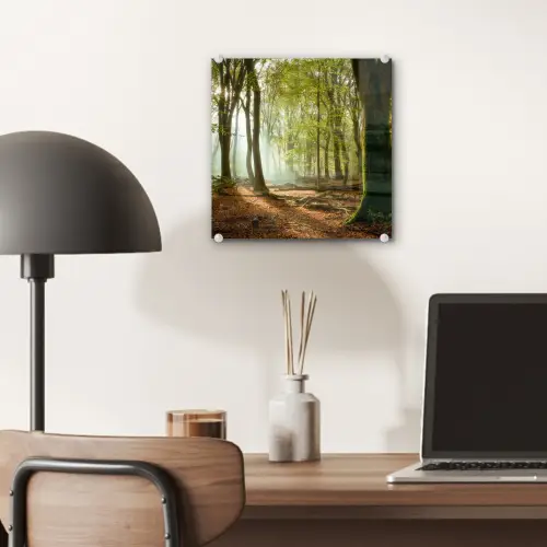 Bos - Zon - Seizoenen - Landschap plexiglas 5mm klein -sfeer6