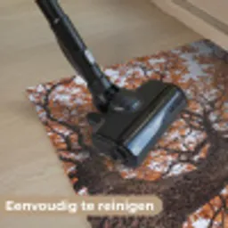 Boom - Bladerdak - Herfst - Oranje - Sfeervol Deurmat klein -reinigen_NL