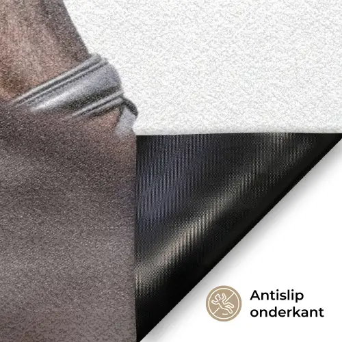 Portret - Paard - Elegant Deurmat klein -antislip_NL