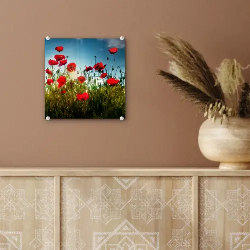 Klaprozen - Toscane - Zon - Rood - Blauw plexiglas 5mm klein -sfeer5
