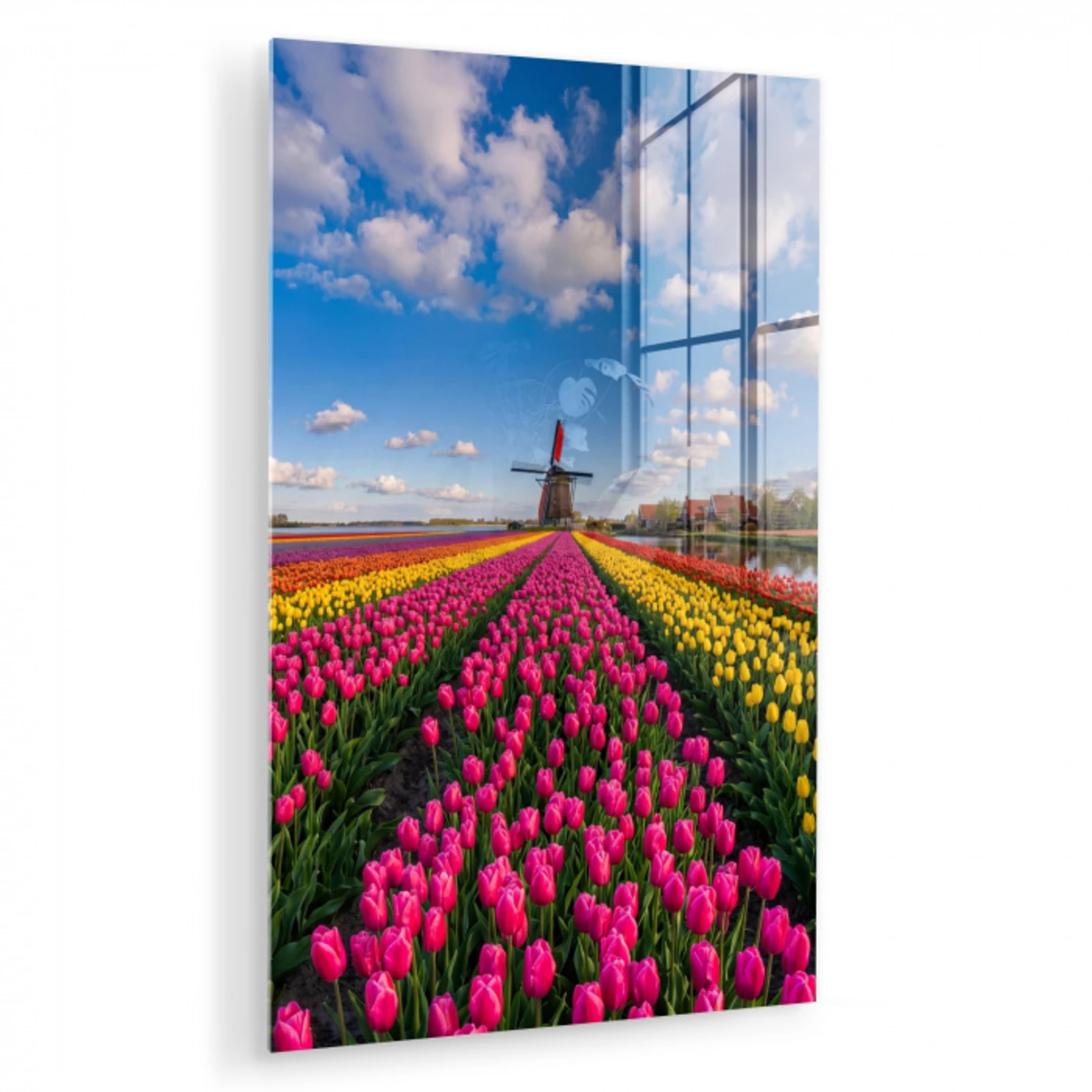 Tulpen - Holland - Molen - Kleurrijk plexiglas 5mm klein -zzzproduct_nieuw