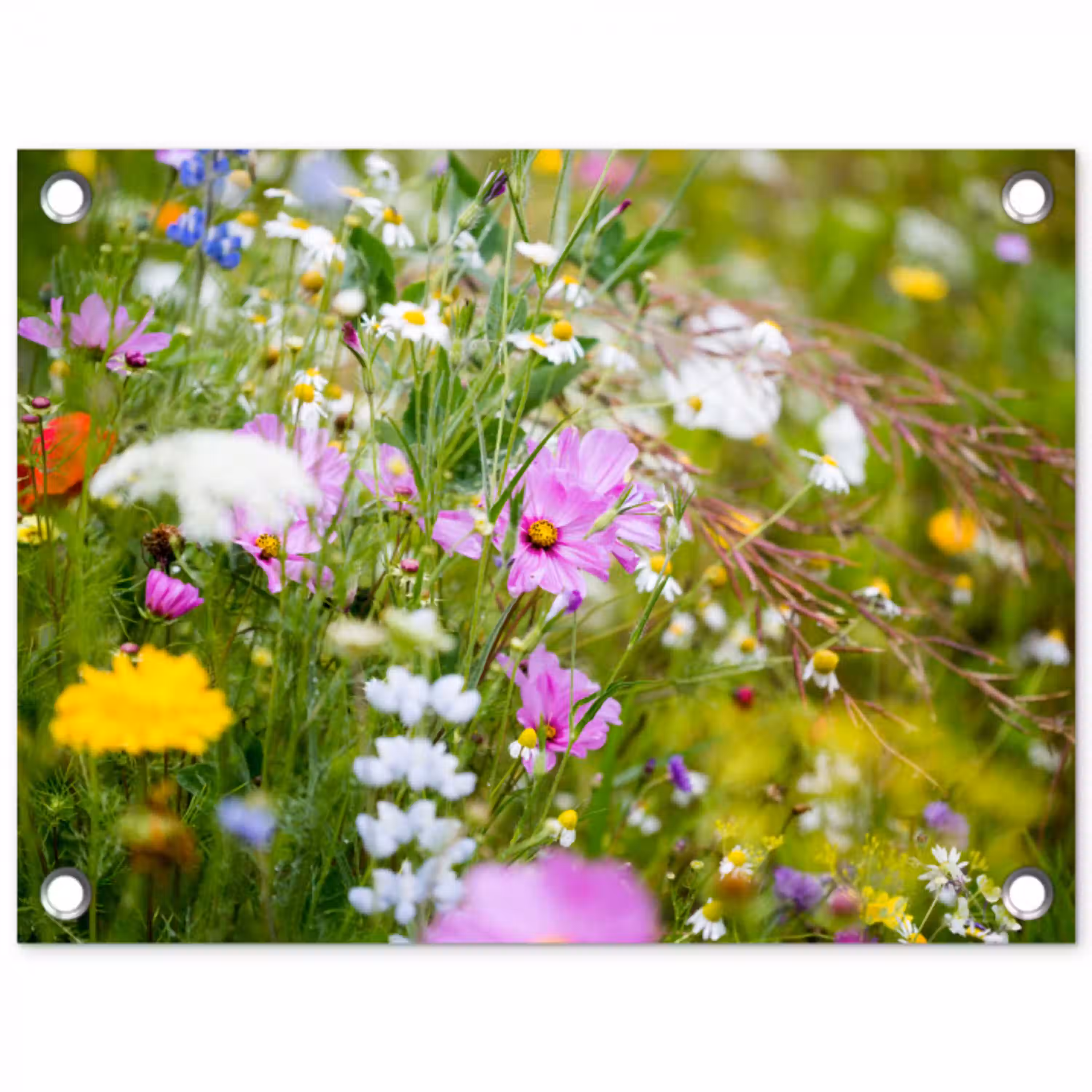 Bloemen - Natuur - Groen - Gras - Paars - Wit tuinposter los doek klein -3d