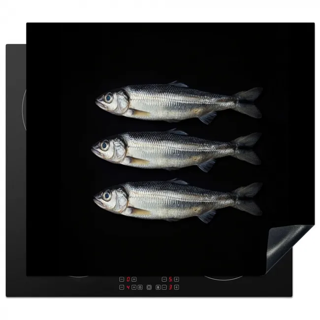 Haring - Vissen - Zwart Inductie beschermer vinyl 3mm middel -3d