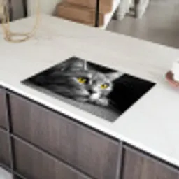 Blik van Goud Inductie beschermer vinyl 3mm klein -sfeer8
