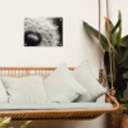 Paardenbloem - Zwart - Wit tuinposter los doek klein -sfeer7