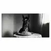 Paard - Bord - Pasta - Tafelkleed - Zwart Wit - Dieren Muismat XXL klein -3d_leeg