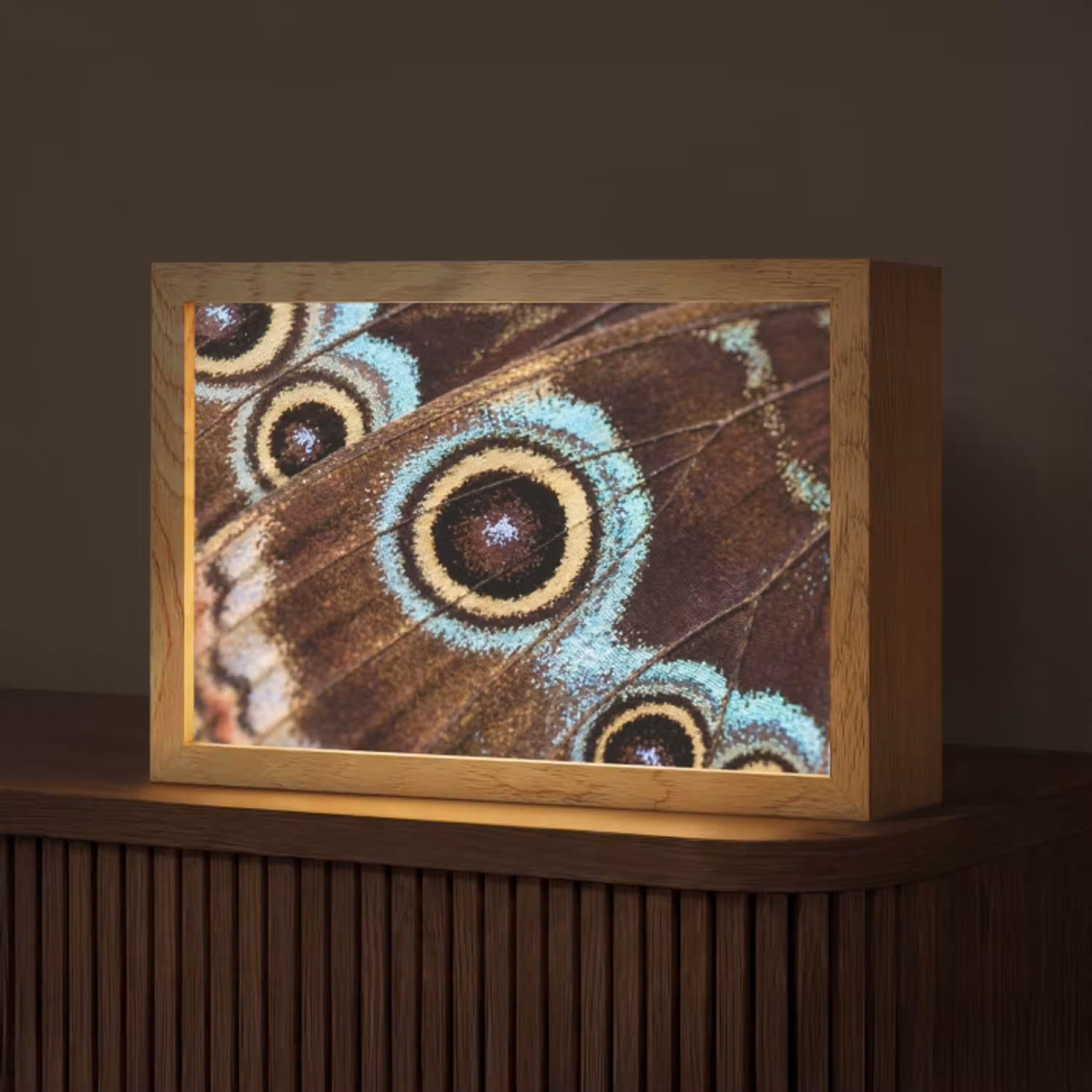 Vleugels - Vlinder - Blauw Light Box met kabel (Tafellamp) klein -z3d_website