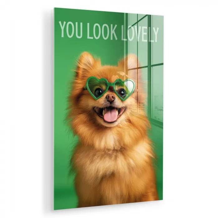 Hond - Zonnebril - Valentijn - Love plexiglas 5mm klein -zzzproduct_nieuw
