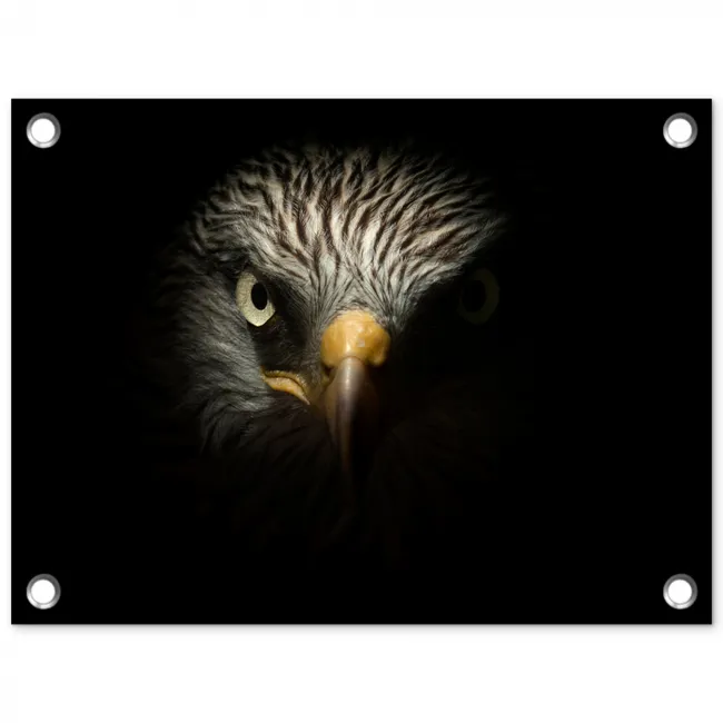 Indringende blik van een arend tuinposter los doek klein -3d